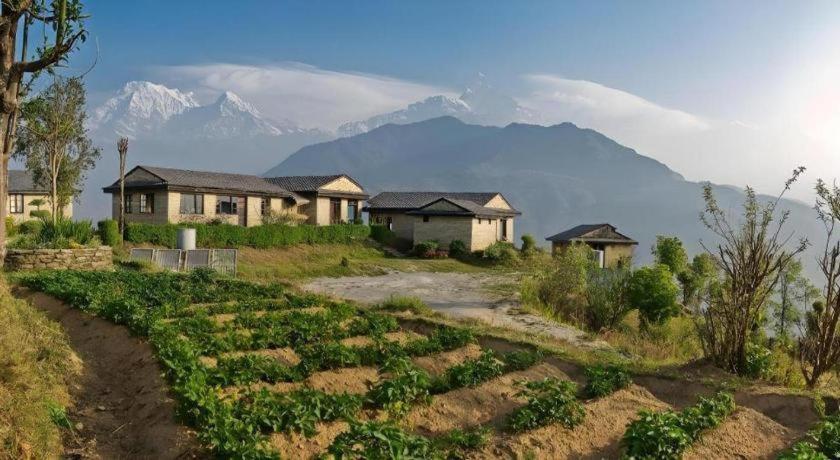 Hananoie - A Permaculture Resort Pokhara Exteriör bild